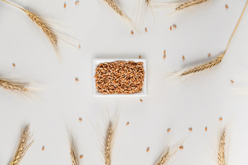 Wall Mural - wheat ears and bowl of grains on white background, flat lay