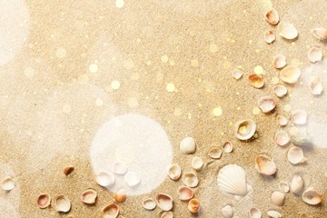 Sticker - Shells in the sand on the beach background