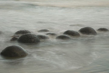 Wall Mural - Moeraki Boulders on Koekohe Beach, Otago, South Island, New Zealand.