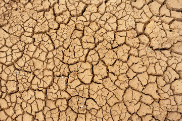 Marsh land with dry and cracked ground. Global warming background.