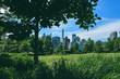 Manhattan skyline from park on Roosevelt Island, NY