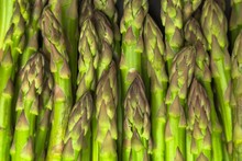 Asparagus - Close Up