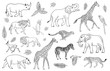 © Sweta - Vector set collection of outline hand drawn sketch African animals isolated on white background