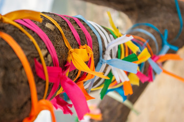Wish tree with many multicolour ribbons tied on its bole, close up view. Photographed in Crimea. Selective soft focus. Blurred background