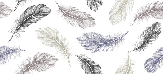 Wall Mural - Hand draw set of feathers.