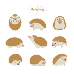 Poster - Hedgehogs in various poses. flat design style minimal vector illustration.