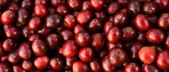 Wall Mural - close up of fresh coffee beans for background  