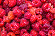 Background of ripe red raspberries, close up 