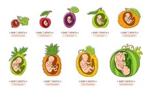 Pregnancy And Newborn Free Stock Photo - Public Domain Pictures