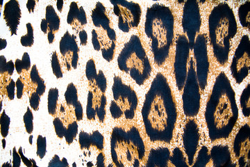 background texture leopard coloring