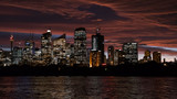 Fototapeta  - Sydney Skyline by night (CBD)