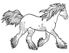 Horse Runs Trot. Coloring Book. The Horse Runs Trot. Coloring Book. Tinker Is A Thoroughbred Horse.