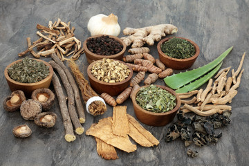 Wall Mural - Adaptogen food selection with herbs and spices. Used in herbal medicine to help the body resist the damaging effect of stress and restore normal physiological functioning. Top view.