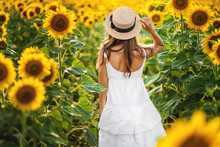 A Happy, Beautiful Young Girl In A Straw Hat Is Standing In A Large Field Of Sunflowers. Back View.