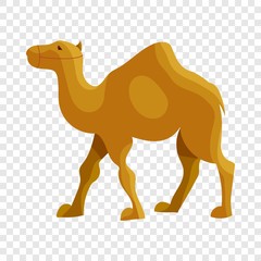 Wall Mural - Camel icon in cartoon style isolated on background for any web design