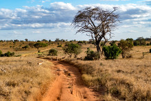 Tsavo Nationalpark 