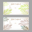 Gift voucher certificate template with simple leaves vector.