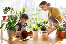 Mother And Daughter Taking Care Of Home Plants At Table Indoors