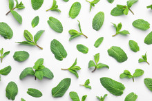 Fresh Green Mint Leaves On White Background, Top View