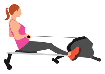 Wall Mural - Rowing machine, illustration, vector on white background.