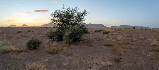 Canvas Print - Paysage du Maroc aux environs de Zagora