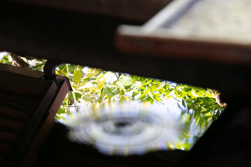 Water drop close up