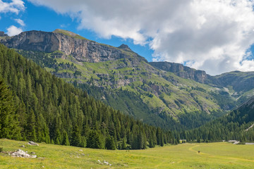 Wall Mural - beautiful valley with a meadow and forest and mountains in the dolomites