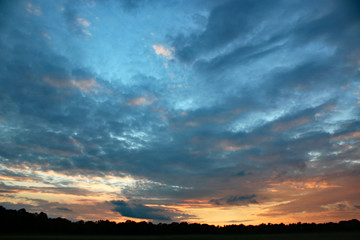 Wall Mural - Sunset over trees in France