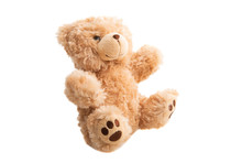 Soft Toy Bear Isolated