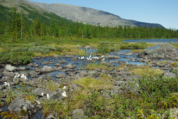 Khibiny, stony river with green-covered shores with mountain ranges in the distance