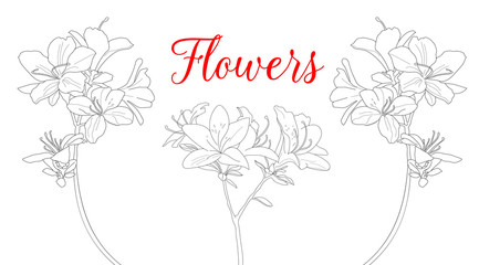 Wall Mural - Collection of hand drawn flowers and plants. Monochrome vector illustrations in sketch style. Wild rose flowers drawing and sketch with line-art on white backgrounds.