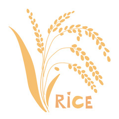 Wall Mural - vector illustration of rice plant isolated on white background.