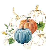 Watercolor Golden Pumpkins Composition. Hand Painted Blue And Orange Pumpkins With Leaves Isolated On White Background. Autumn Festival. Botanical Illustration For Design, Print Or Background.
