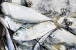 © themorningglory - Fresh variety fish seafood sell in market