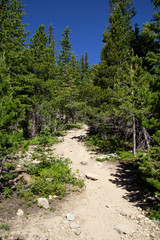 Wall Mural - St. Mary's Glacier hike 07/2019