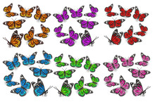 A Large Set Of Butterflies In Different Angles, Different Colors Green, Blue, Orange, Red, Pink, Purple. Design Elements. Vector Graphics.