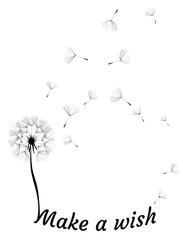 Poster - Vector Dandelion Make a Wish