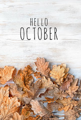 Hello October. autumn oak leaves on white wooden background. autumn composition. autumn season concept minimalism. fall time. top view