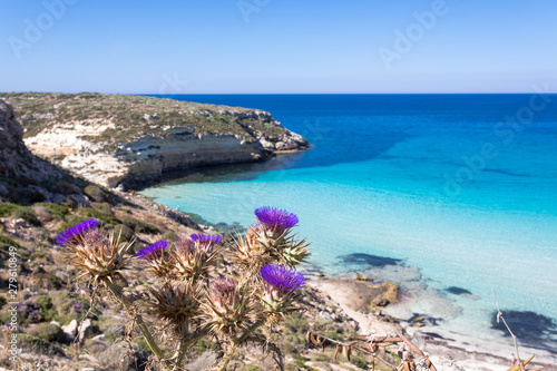 Lampedusa Island Sicily Rabbit Beach And Rabbit Island