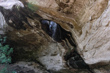 Wall Mural - creek water stream waterfall flowing in forest