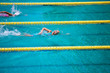 © Danai - Athlete in freestyle swimming race in swimming pool