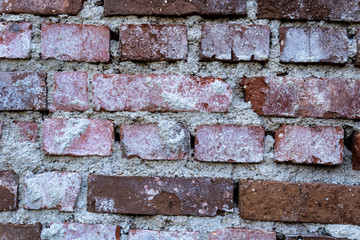 Brick wall collection of images 