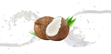 Fresh Coconut Milk Wave 3D Splash With Coconuts Isolated. Glossy Shining Vegan Milk, Smoothie, Non Dairy Organic Coconut Milk, Cream, Shampoo, Cosmetic Soap Splash. Liquid Splash Label Design Element