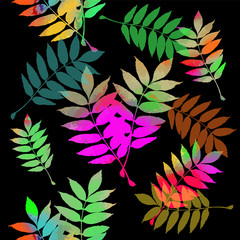  A seamless background with colorful leaves of ash. Vector
