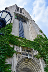 green ivy on historic chapel