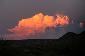 Wall Mural - landscape view of big bend national park during the sunset in texas.