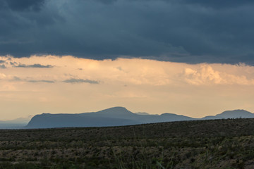 Wall Mural - Landscape view of Big Bend National Park during the sunset in Texas.