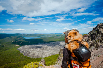 Wall Mural - girl hiking with dog in backpack