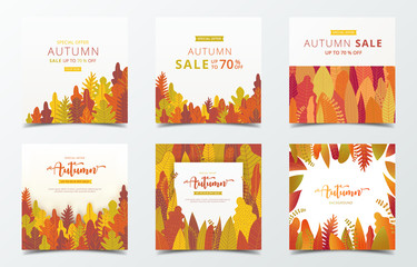 Wall Mural - Set of autumn banner design template. Square social media banner. Cute card in minimalist design.