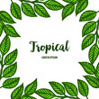 Lettering summer tropical with bright green leaves and floral frame. Vector